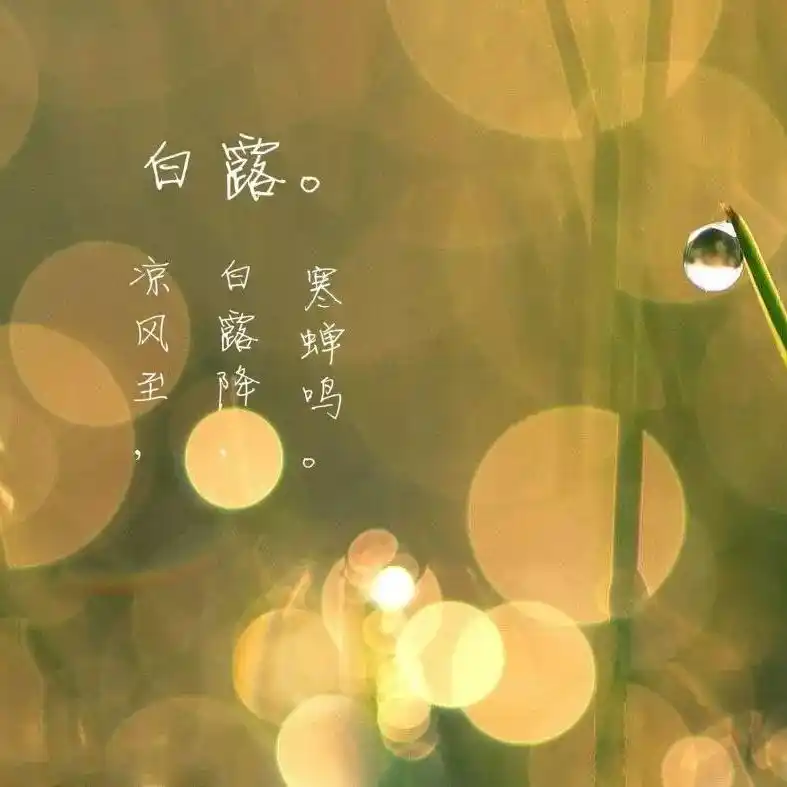 白露