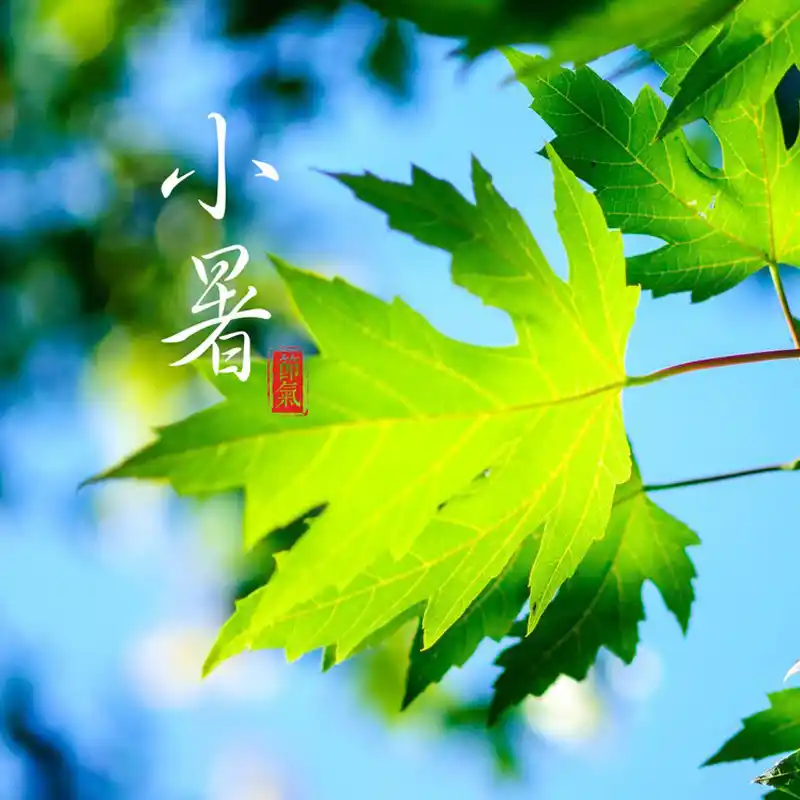 小暑